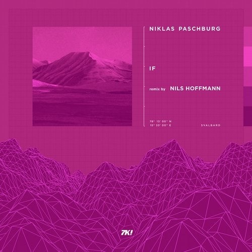 Niklas Paschburg - If (Nils Hoffmann Remix) [7K014R3]